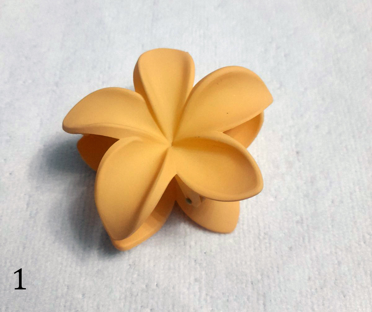 Κλάμερ - Κοκαλάκια Μαλλιών