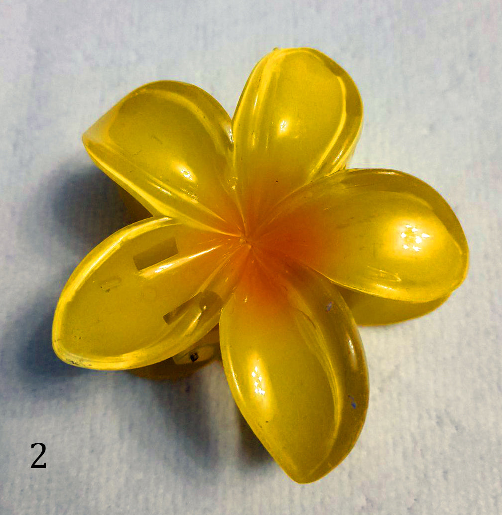 Κλάμερ - Κοκαλάκια Μαλλιών