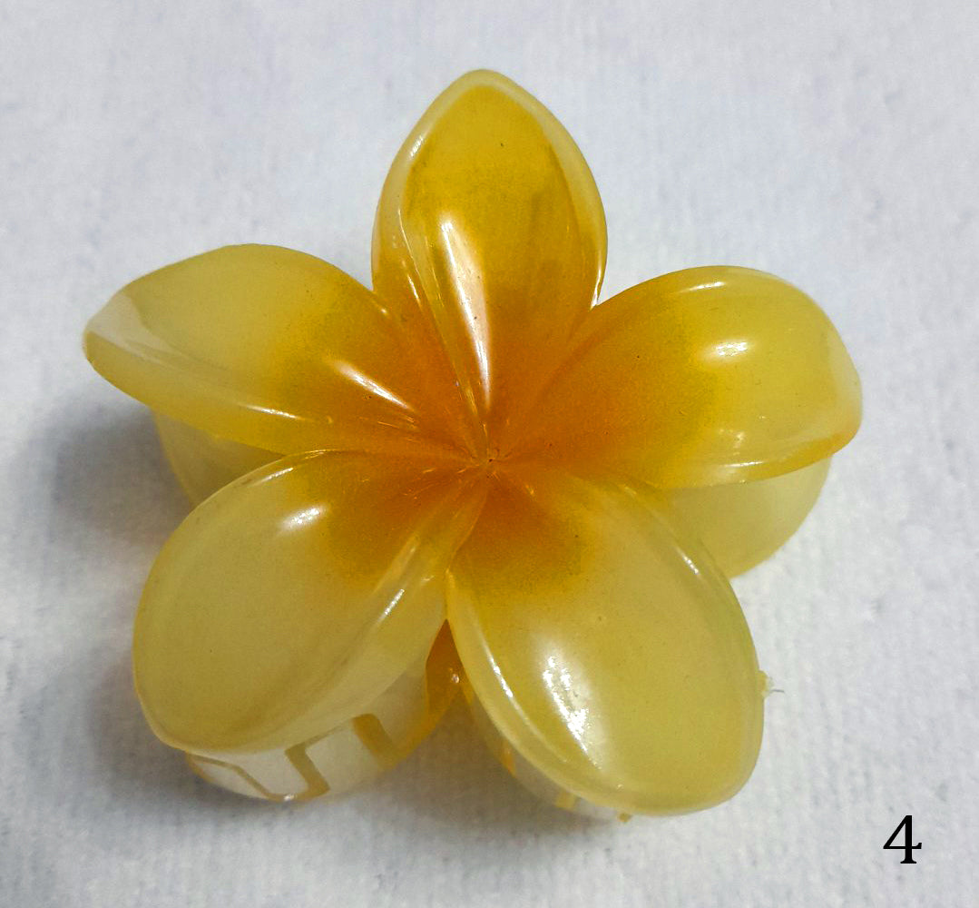 Κλάμερ - Κοκαλάκια Μαλλιών